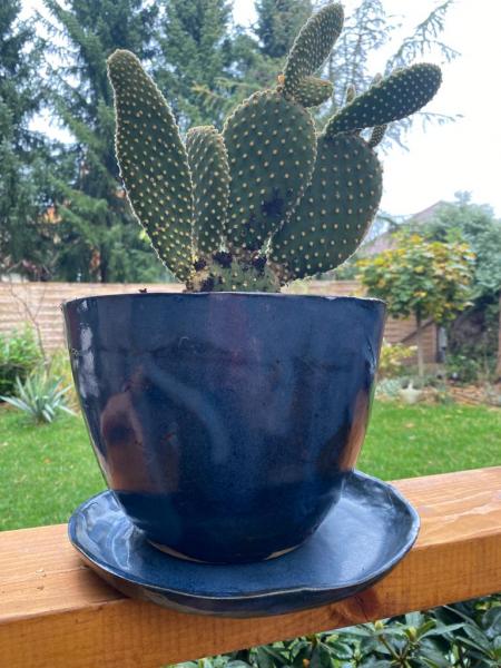 doniczka-kaktus